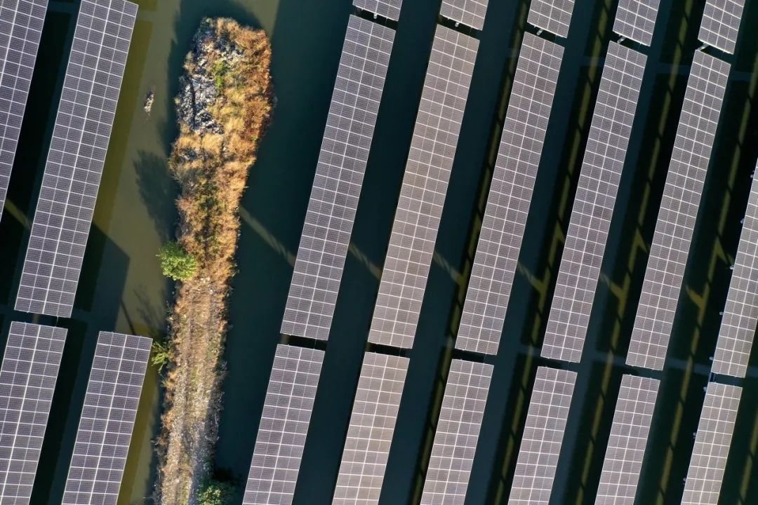 300MW！利来ag旗舰厅_利来ag旗舰厅官网科技成功中标福建莆田渔光互补光伏项目