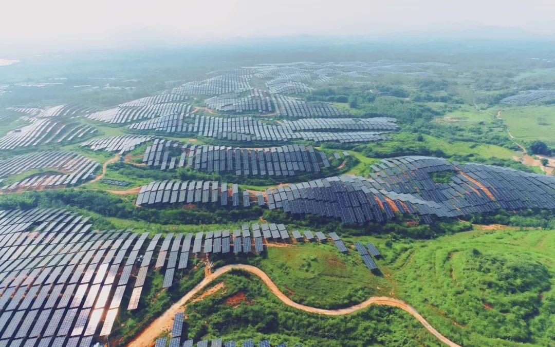 300MW！利来ag旗舰厅_利来ag旗舰厅官网科技广东农垦红十月农场农光互补项目满发并网